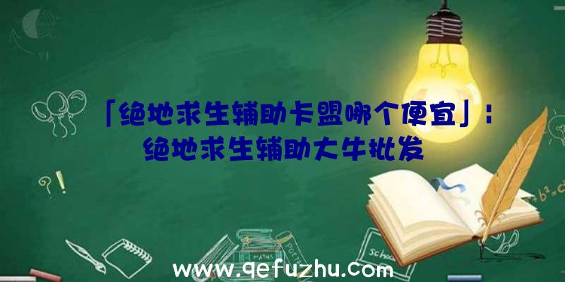 「绝地求生辅助卡盟哪个便宜」|绝地求生辅助大牛批发